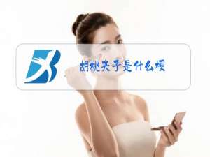 胡桃夹子是什么梗