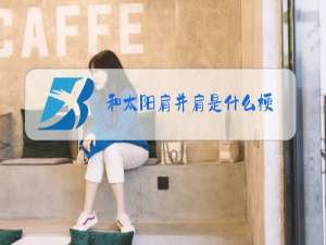 和太阳肩并肩是什么梗