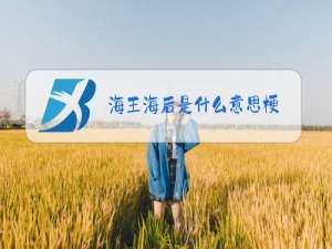 海王海后是什么意思梗