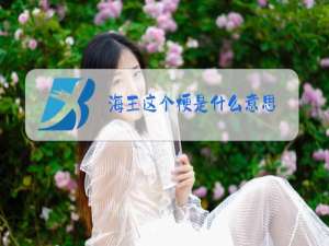 海王这个梗是什么意思