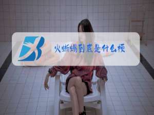火蜥蜴到底是什么梗