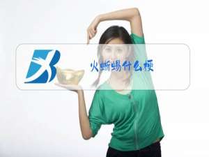 火蜥蜴什么梗