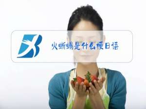 火蜥蜴是什么梗日语