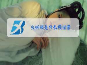 火蜥蜴是什么梗谐音