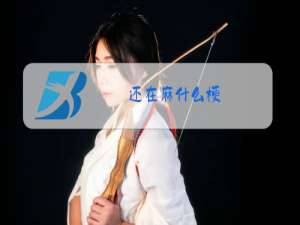 还在麻什么梗