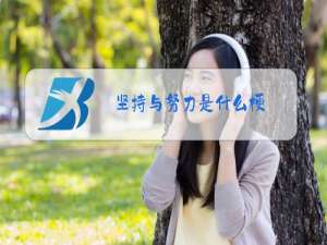 坚持与努力是什么梗