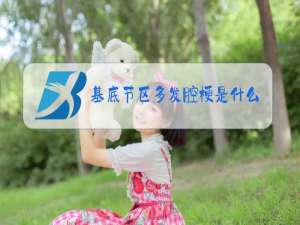 基底节区多发腔梗是什么意思