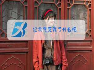 纪狗气死我了什么梗