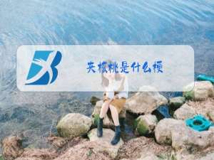 夹核桃是什么梗