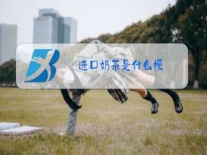 进口奶茶是什么梗