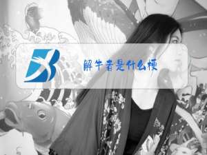 解牛者是什么梗