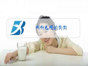 叫什么梗的狗狗