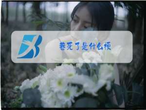 卷死了是什么梗