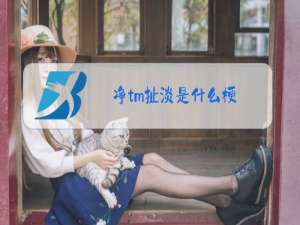 净tm扯淡是什么梗