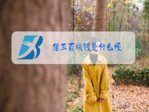 借五百块钱是什么梗