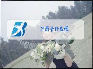 江雨晴什么梗