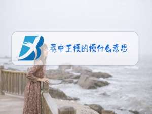蒋中正梗的梗什么意思