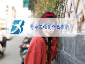 蒋中正梗是什么意思