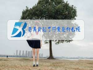 老兵背起了行囊是什么梗
