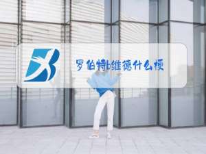 罗伯特b维德什么梗