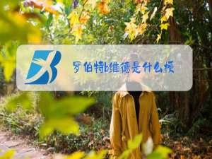 罗伯特b维德是什么梗