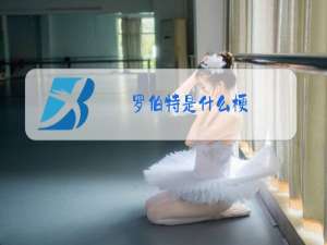 罗伯特是什么梗