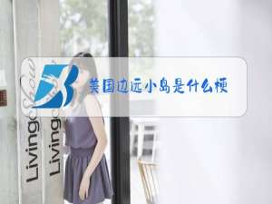 美国边远小岛是什么梗