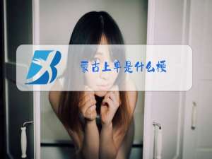 蒙古上单是什么梗