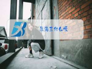 烈海王什么梗