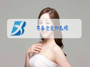 买基金是什么梗