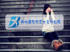 两块面包夹芝士是什么梗