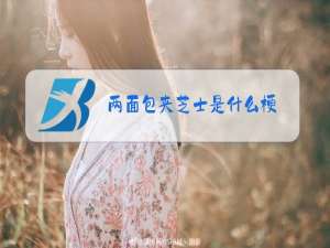 两面包夹芝士是什么梗