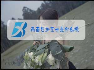 两面包加芝士是什么梗