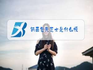 俩面包夹芝士是什么梗