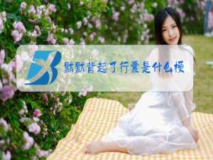 默默背起了行囊是什么梗