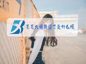 毛毛大师我悟了是什么梗