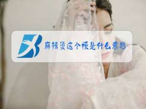 麻辣烫这个梗是什么意思?