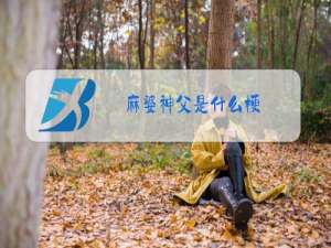 麻婆神父是什么梗