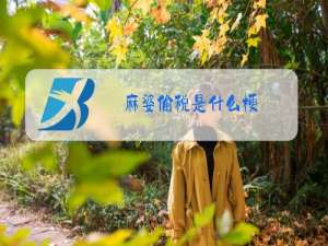 麻婆偷税是什么梗
