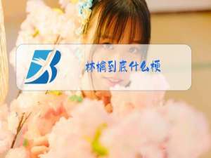 林檎到底什么梗