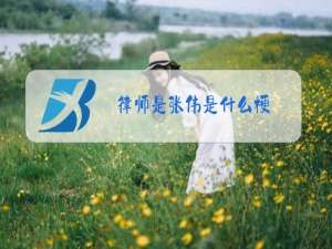 律师是张伟是什么梗