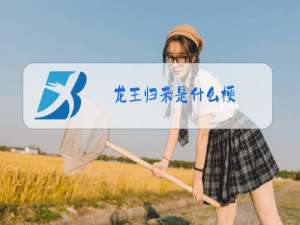龙王归来是什么梗