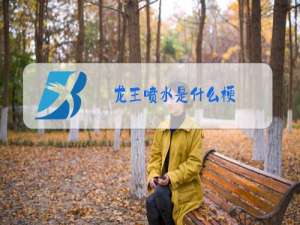 龙王喷水是什么梗
