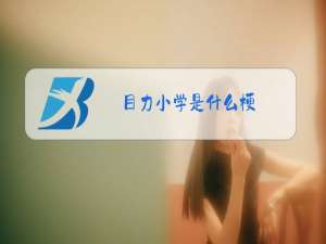 目力小学是什么梗