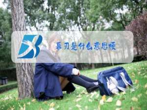 幕刃是什么意思梗