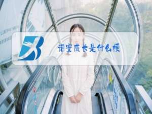 诺安成长是什么梗