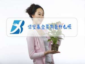 诺安基金菜狗是什么梗