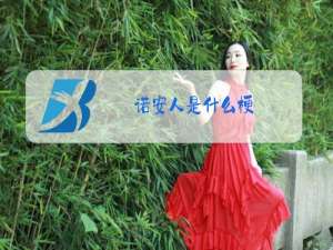 诺安人是什么梗