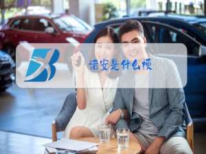 诺安是什么梗