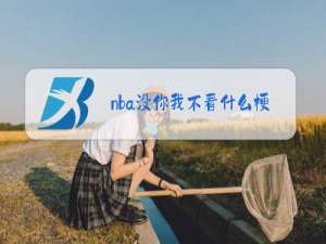 nba没你我不看什么梗